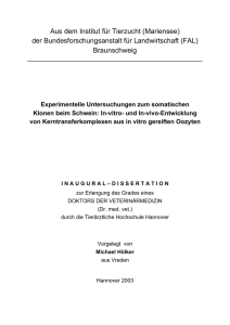 In-vitro- und In-vivo-Entwicklung von Kerntransferkomplexen aus