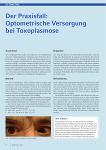 Toxoplasmose - Optik Nosch