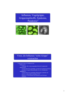 Influenza, Vogelgrippe, Grippeimpfstoffe, Epidemie, Pandemie