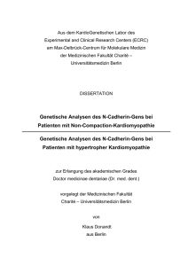 Genetische Analysen des N-Cadherin