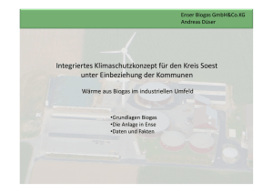 Wärme aus Biogas im industriellen Umfeld, Andreas