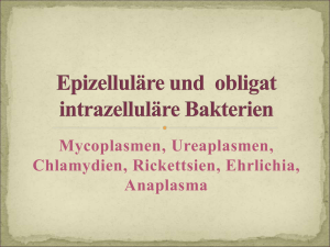 Intrazelluläre und obligat epizelluläre Bakterien