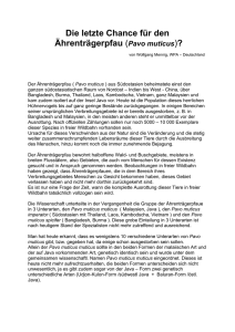 Publikation zum Thema von Wolfgang Mennig, WPA Deutschland