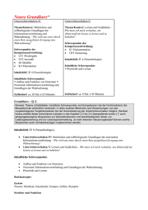 Biologie Q1/Q2 Neurobiologie - Rhein