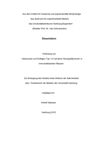 Verteilung von Hyaluronan und Kollagen Typ I in humanen