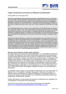 Fragen und Antworten zum Schutz vor Infektionen mit Salmonellen