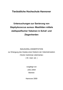 Stiftung Tier&auml;rztliche Hochschule Hannover