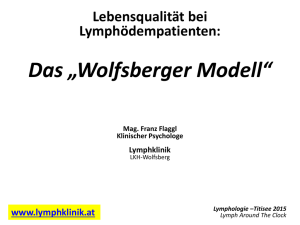 Das „Wolfsberger Modell“