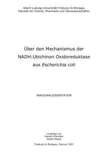 Über den Mechanismus der NADH:Ubichinon