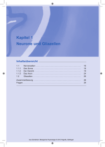 Kapitel 1 Neurone und Gliazellen