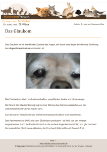 Das Glaukom - Kleintierpraxis Dr. Nina Müller