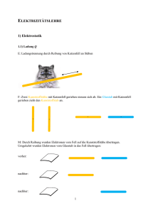 ELEKTRIZITÄTSLEHRE 1) Elektrostatik