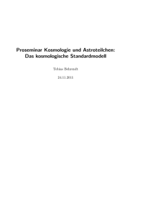 Proseminar Kosmologie und Astroteilchen: Das kosmologische