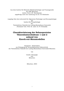 Charakterisierung der Selenoproteine Thioredoxinreduktase 1 und