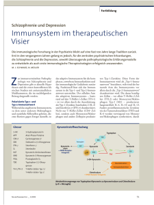 Immunsystem im therapeutischen Visier