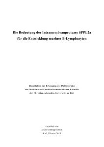 Die Bedeutung der Intramembranprotease SPPL2a für die