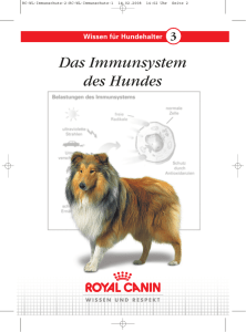 Das Immunsystem des Hundes