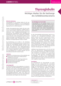 pdf, 365.28 KB - Limbach Gruppe