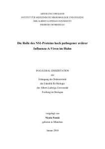 Die Rolle des NS1-Proteins hoch pathogener aviärer
