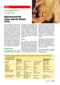 Bläschenkrankheit Swine vesicular disease (SVD)