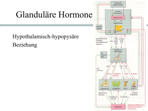 Glanduläre Hormone