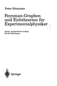 Feynman-Graphen und Eichtheorien für Experimentalphysiker