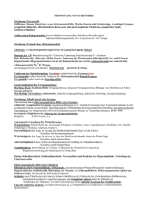 Stichwortliste für Klausur und Abitur (ohne Gewähr) PDF