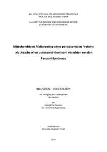 Abb. 6 - Publikationsserver der Universität Regensburg