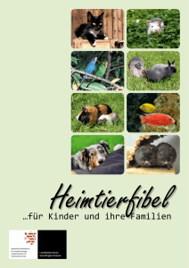 Heimtierfibel der hessischen Landestierschutzbeauftragten