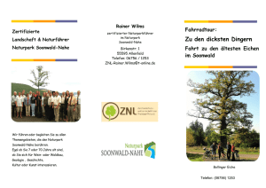 Zu den dicksten Dingern - Naturpark Soonwald-Nahe