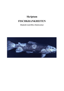 Fischkrankheiten_Ursachen und Hintergründe