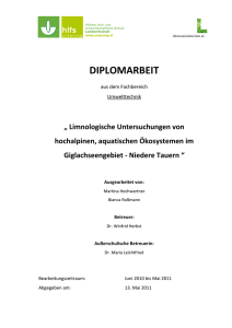 DIPLOMARBEIT