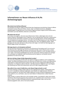 Informationen zur Neuen Influenza A H1/N1