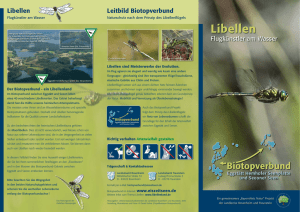 Libellen - Biotopverbund Eggstätt Hemhofer Seenplatte und
