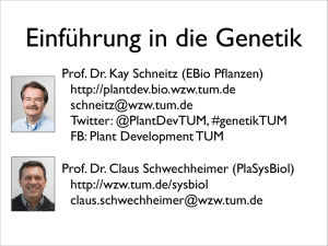 A B C - Plant Developmental Biology