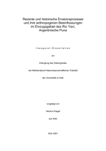 Ursachen der Erosion im Untersuchungsgebiet – Bewertung der