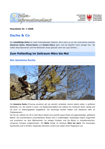 Newsletter Nr7_2008deu - Autonome Provinz Bozen