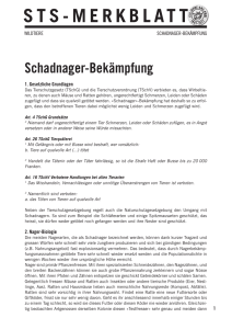 Schadnager - Schweizer Tierschutz STS