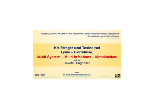 Ko-Erreger und Toxine bei Lyme – Borreliose, Multi