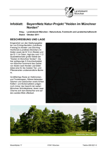 Infoblatt: BayernNetz Natur-Projekt "Heiden im Münchner Norden"