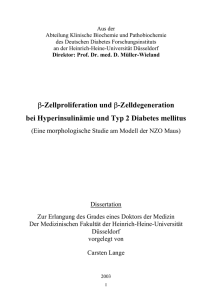 β-Zellproliferation und β-Zelldegeneration bei Hyperinsulinämie und