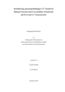 Beeinflussung spannungsabh&auml;ngiger Ca