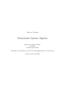 Numerische Lineare Algebra - homepages.math.tu