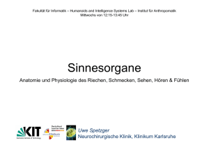 Sinnesorgane - Humanoids and Intelligence Systems Lab