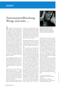 a focus tumorstammzellforschung in der onkologie - Home