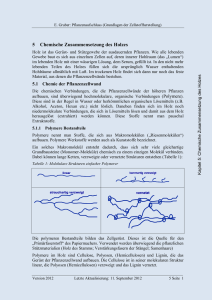 5 Chemische Zusammensetzung des Holzes - Papier