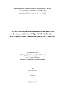 Untersuchungen über den uterinen Blutfluss und die endometriale