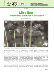 Libellen - Biologische Schutzgemeinschaft Hunte Weser