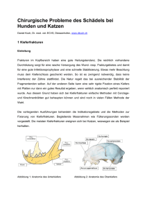Chirurgische Probleme des Schädels bei Hunden und