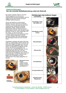 Augenverletzungen - Tierklinik Dr. Staudacher